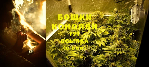 spice Беломорск