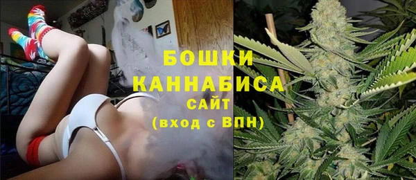 spice Беломорск