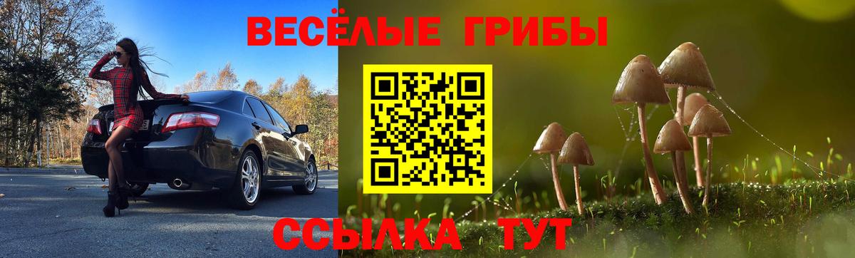 Псилоцибиновые грибы MAGIC MUSHROOMS Борисоглебск